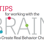 Tips for Working With the Brain