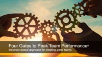 Four Gates to Peak Team Performance®