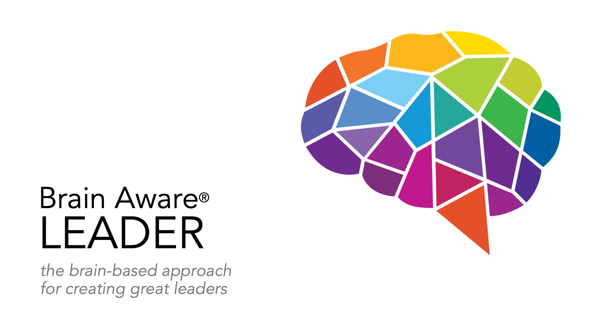 Brain Aware® Leader Training Britt Andreatta